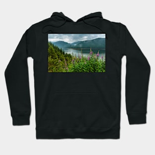 Lake Vidra in Romania Hoodie